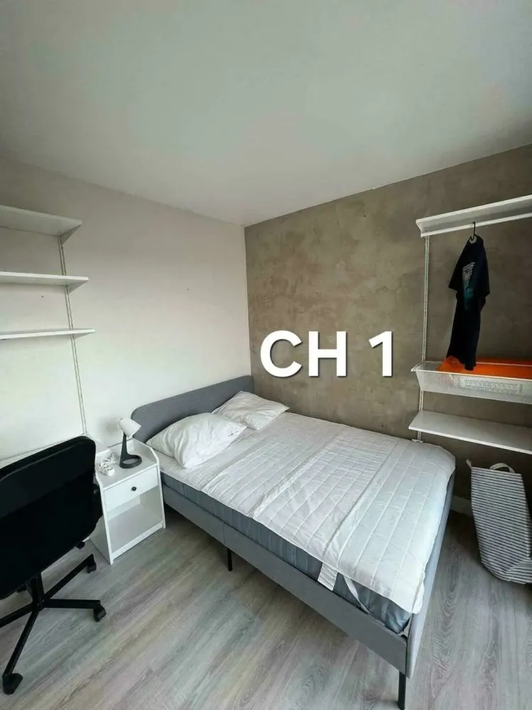 chambre-lumineuse-et-calme-bordeaux-sud.jpg